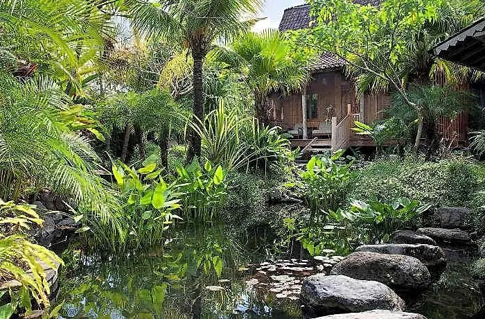 Dea By Elite Havens 3* Canggu